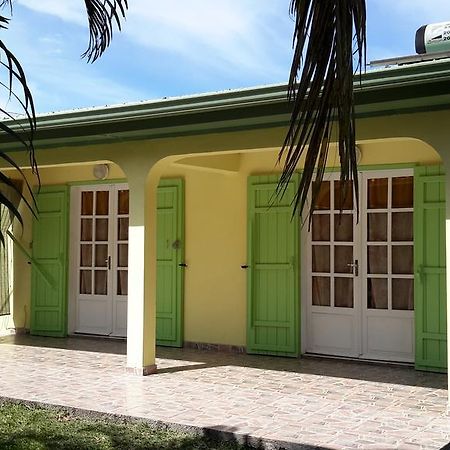 La Villa Des Palmes Bois d'Olive Dış mekan fotoğraf