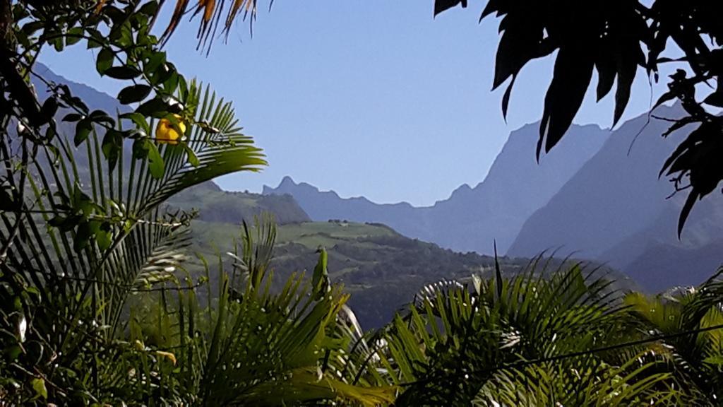 La Villa Des Palmes Bois d'Olive Dış mekan fotoğraf